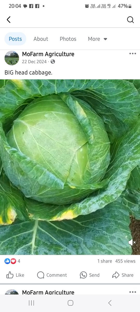 The Home Of Customer Satisfaction.
Customer Service: 0731440461

FRESH/HEALTHY/CONVENIENT