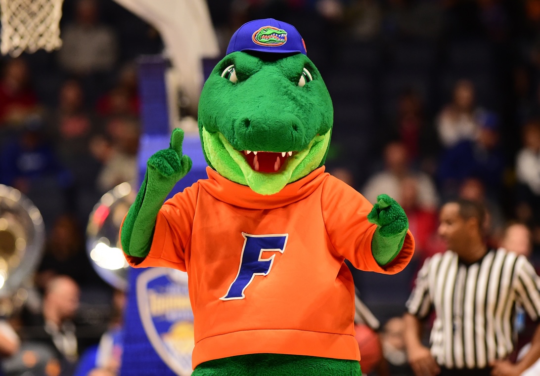Since 2000, Florida has won team National Championships in:

🏀 Men's Basketball
⚾️ Baseball
🏈 Football
🥎 Softball
🏃 Men's &amp; Women's Track &amp; Field
🎾 Men's &amp; Women's Tennis
🤸‍♀️ Women's Gymnastics
⛳️ Men's Golf
🏊‍♀️ Women's Swim &amp; Dive

EVERYTHING SCHOOL.