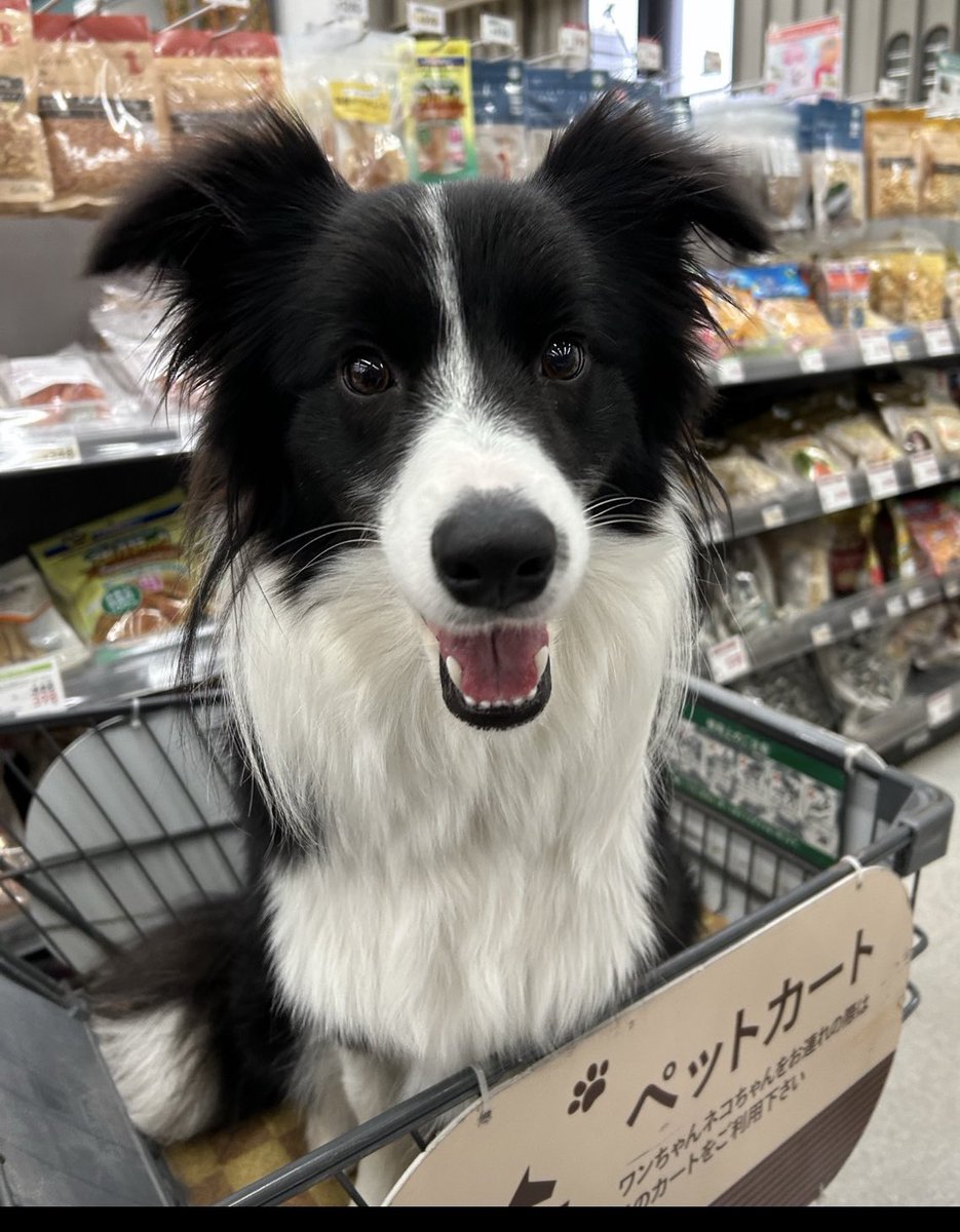 オヤツ！オヤツ！オヤツ！