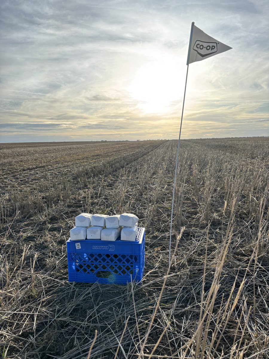 Phil Deobald (@deobaldphil) on Twitter photo Beautiful day to pull some Solumetrix samples! You can never pull enough samples when looking at things at the field level.
Looking forward to discovering the hidden hungers in this field & many more this spring with <a href="/PioneerCoopAG/">Pioneer Coop Grow Team</a> customers across the Great Southwest! Beautiful day to pull some Solumetrix samples! You can never pull enough samples when looking at things at the field level.
Looking forward to discovering the hidden hungers in this field & many more this spring with <a href="/PioneerCoopAG/">Pioneer Coop Grow Team</a> customers across the Great Southwest!