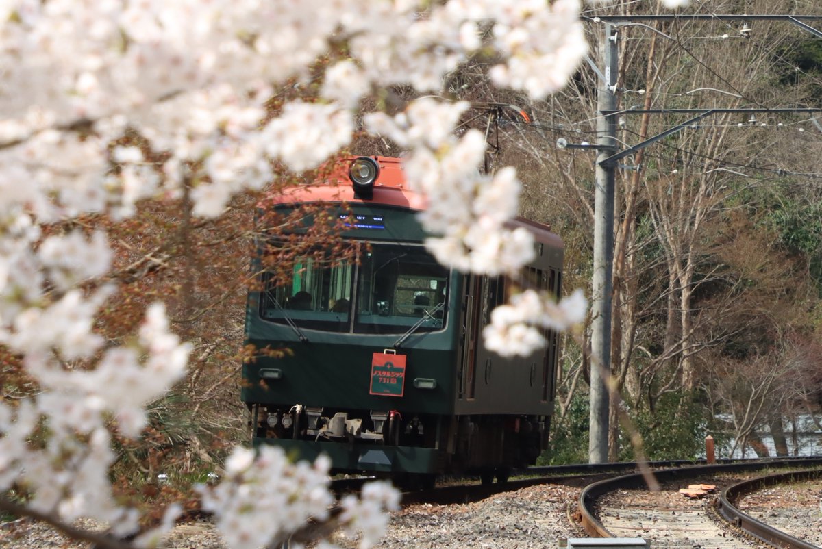 eizandensha's tweet photo. 昨日の八瀬比叡山口駅です。
（2025年4月7日撮影）

#叡電 #叡山電車 #京都 #kyoto #桜 https://t.co/kO51fM4cUN