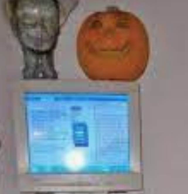 Dusty Bumps (@dusty_bumps) on Twitter photo 