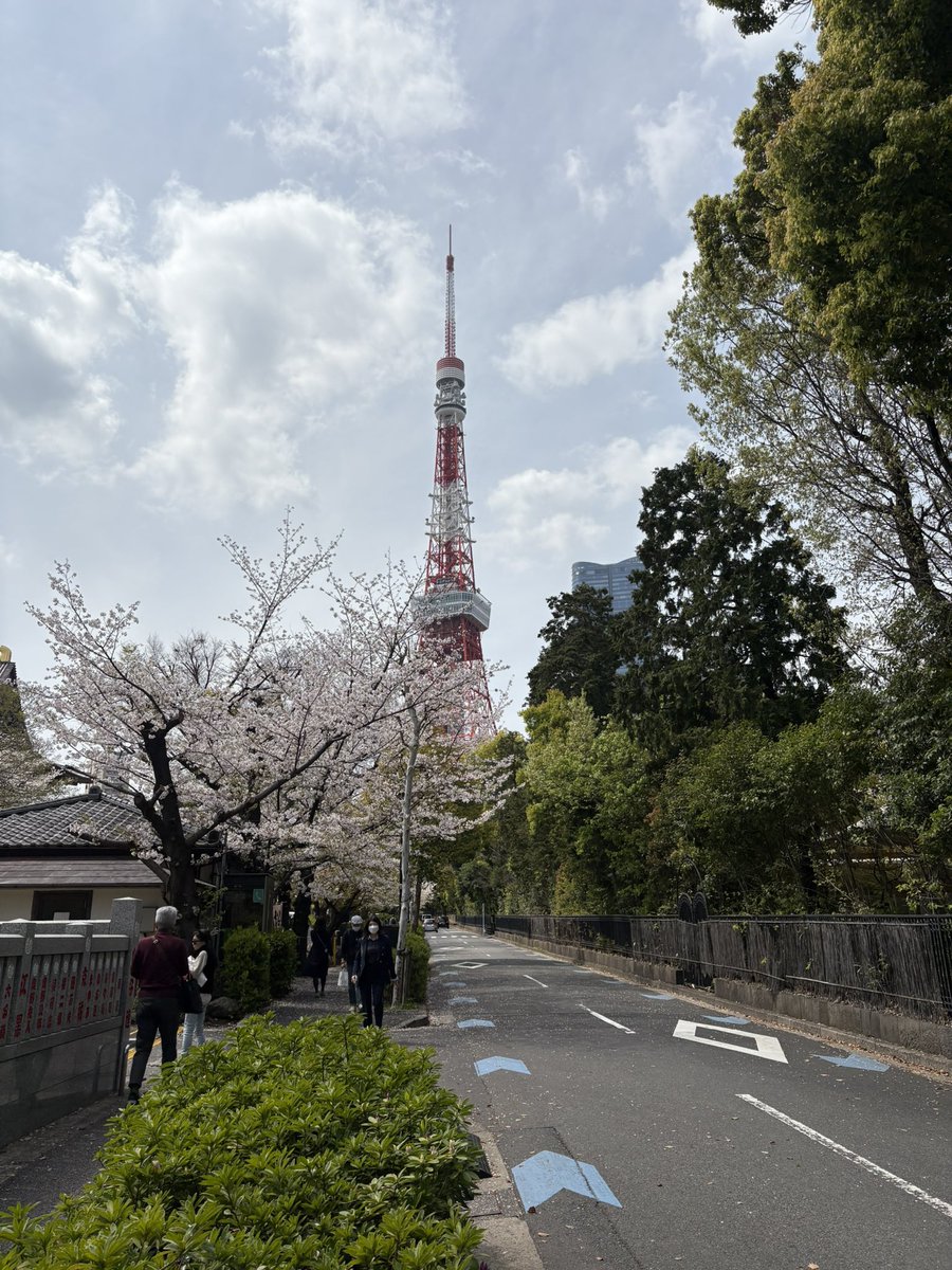 isoq's tweet photo. 東京の増上寺と東京タワー https://t.co/BRNHn7v6bz