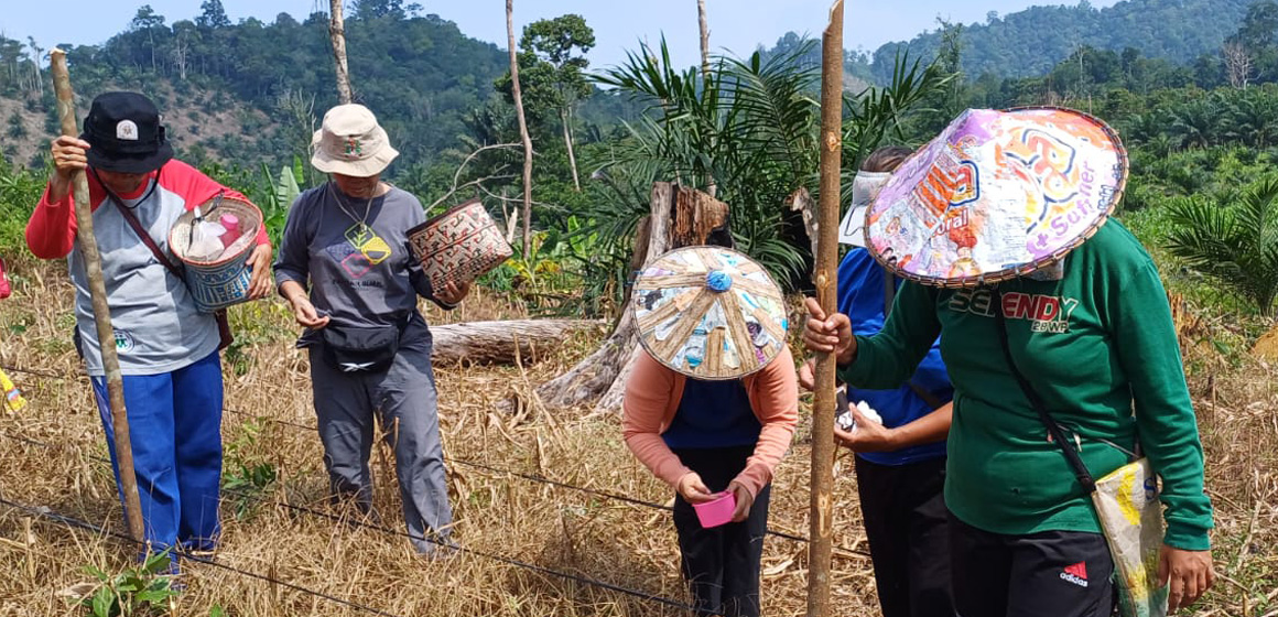 samdhana_inst's tweet photo. Perempuan adat di Desa Benuang, Kabupaten Mempawah, Kalimantan Barat mengelola pertanian melalui 'aleatn' (gotong royong) demi 'efisiensi tenaga kerja', mulai dari penyiapan lahan, menanam bibit, hingga panen. Baca selengkapnya di sini!

📌 https://t.co/RtDuSe2Qhq
#MasyarakatAdat https://t.co/T28UijerwJ