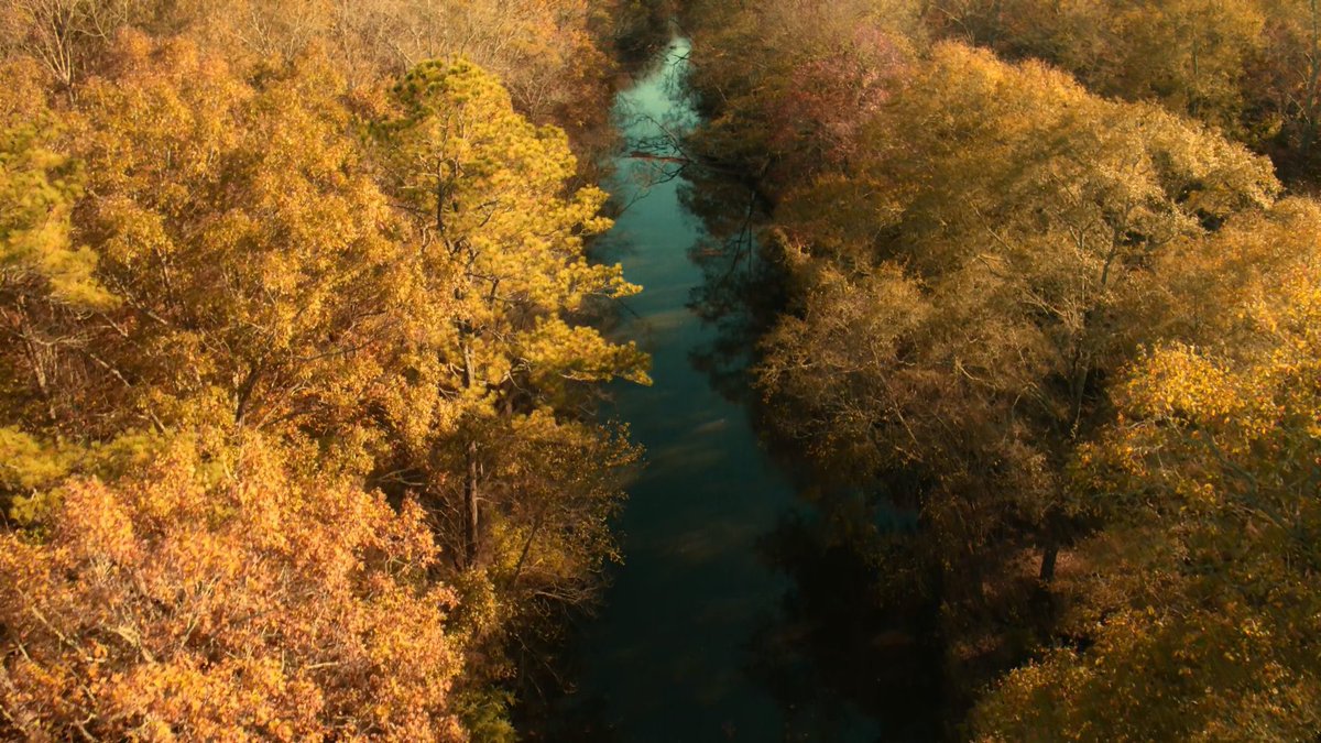 TWD Universe tweet media