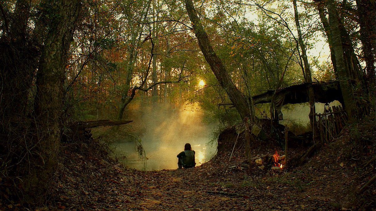 TWD Universe tweet media