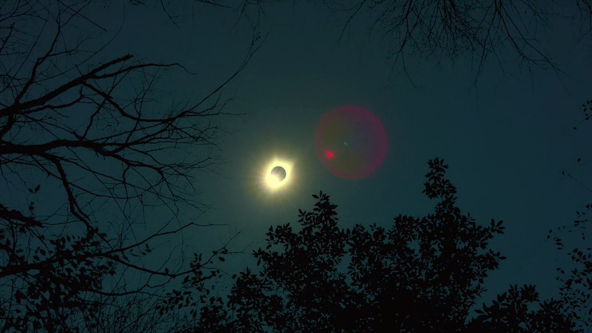 TWD Universe tweet media