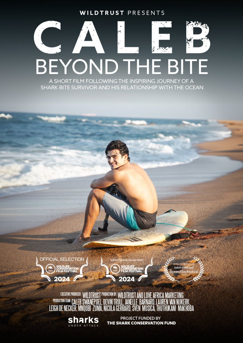 🦈 Caleb - Beyond the Bite
Part of Program 4 this Saturday! 

Caleb, a shark attack survivor, faces his vulnerabilities &amp; builds a paradoxical bond with sharks. Don’t miss this transformative story on April 12th at #IOFF2025 🌊

🎟 Tickets available now: ioff2025.eventive.org/schedule/67bca…
