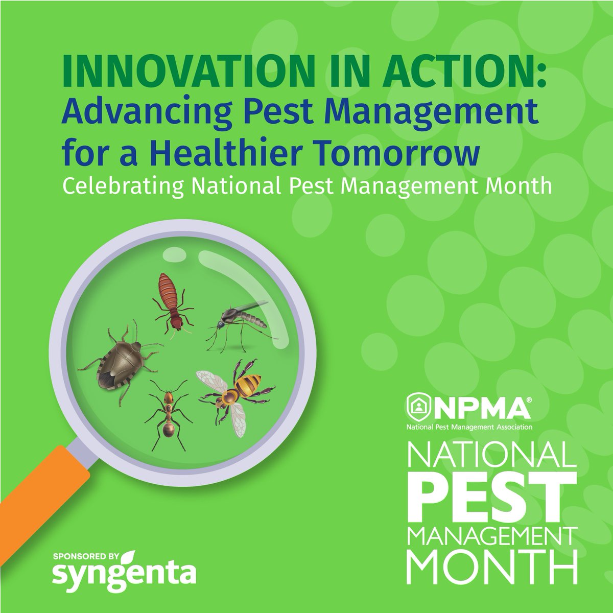 NationalPestMgt's tweet photo. NPMA proudly celebrates April as #NPMM, showcasing the innovation and excellence in our industry. Join the celebration by sharing special e-cards, created by NPMA and Syngenta, with your colleagues and staff! #InnovationInAction #AdvancingPestManagement
https://t.co/oUUQhzy64z https://t.co/CVQBIj8gwv
