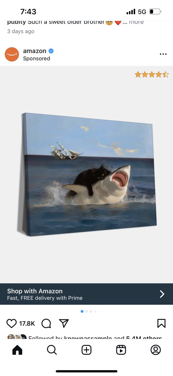 Come on. Be honest with me . Isn’t this the best picture you’ve ever seen? Fear the cat Of the sea