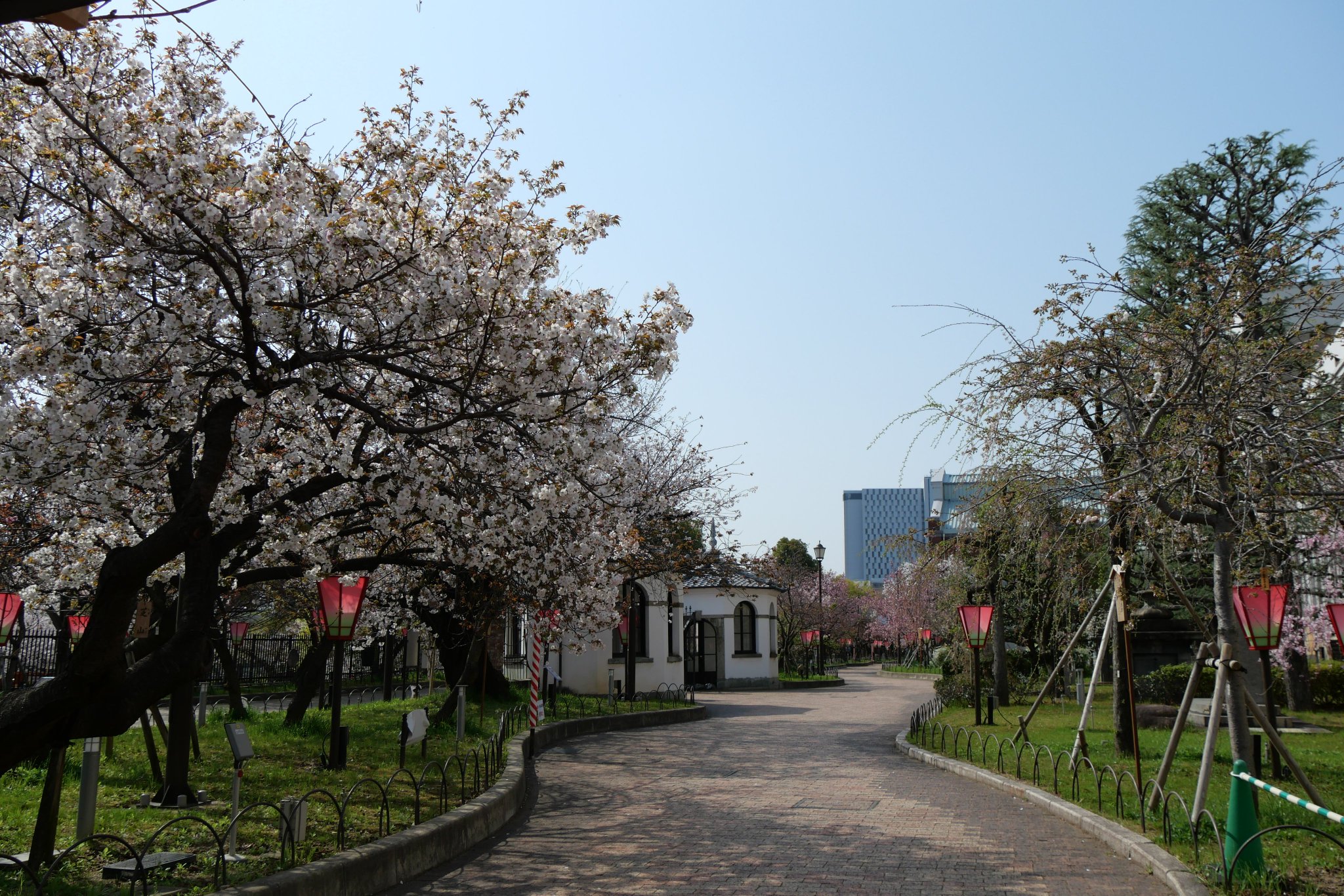 桜の通り抜け 造幣局の桜の通り抜け（大阪市北区） - お花見2025 - ウォーカー