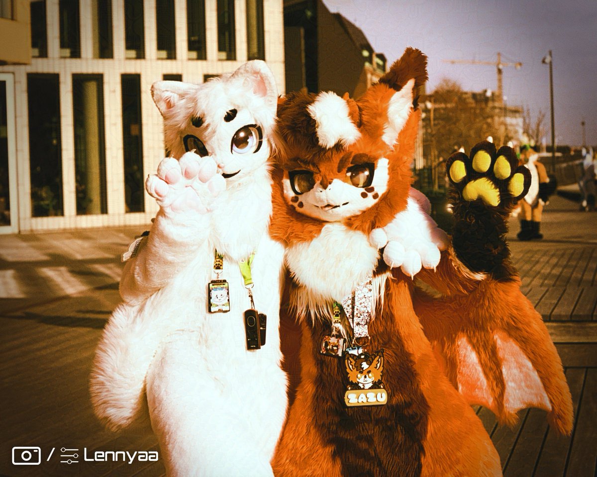 Lennyaa โก๏ธCFZ (@lennyaafluff) on Twitter photo ๐๏ธMeow meow, good times
#meownday #nfc2025 ๐๏ธMeow meow, good times
#meownday #nfc2025