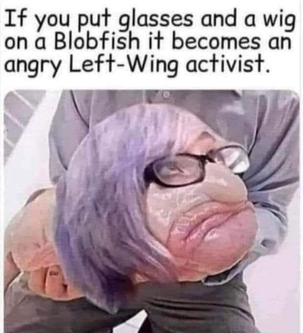 Capt_Marsupial's tweet photo. @BoorMarion 😆😂 https://t.co/LWVfrZAwxq
