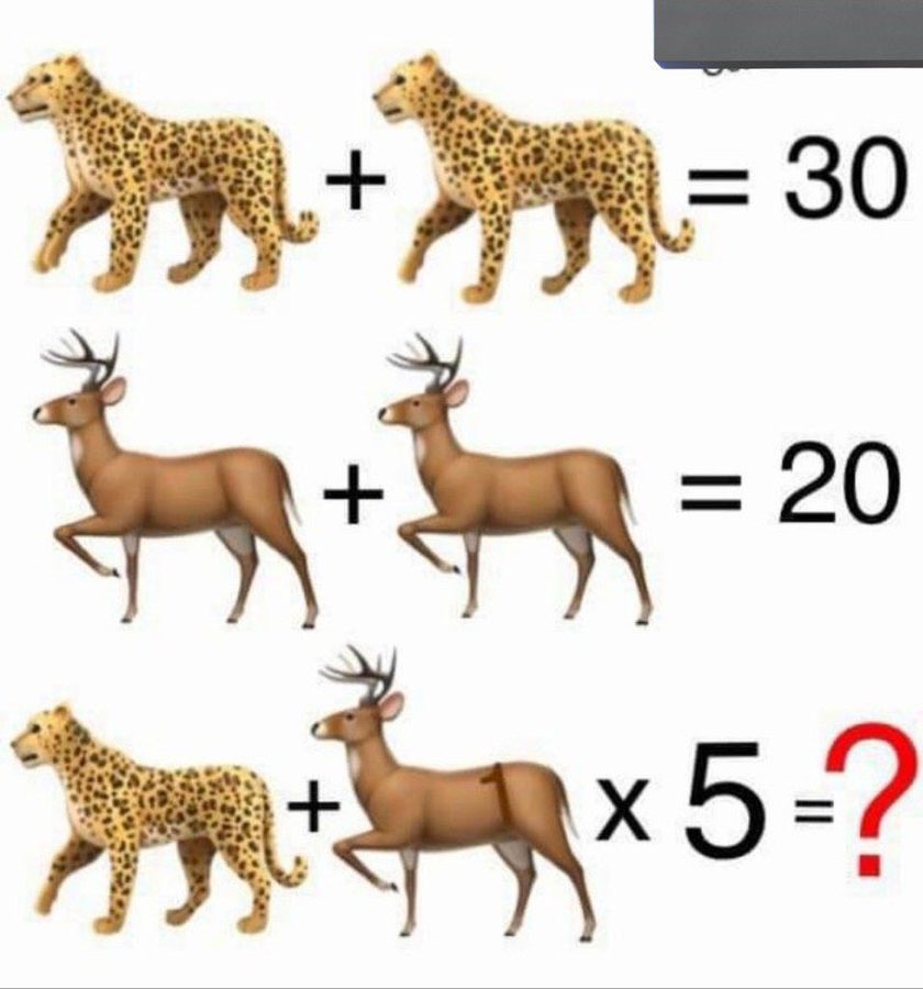 What's the your Answer???