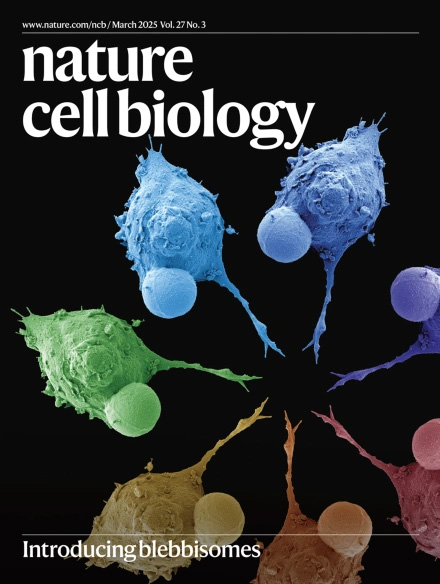 Dylan Burnette (@mag2art) on Twitter photo A story about our blebbisome paper, "Exploring a New Frontier in Cell Communication: A Q&A with the Burnette Lab on Blebbisomes" has now been posted by <a href="/VUBasicSciences/">Vanderbilt School of Medicine Basic Sciences</a>!
medschool.vanderbilt.edu/basic-sciences… A story about our blebbisome paper, "Exploring a New Frontier in Cell Communication: A Q&A with the Burnette Lab on Blebbisomes" has now been posted by <a href="/VUBasicSciences/">Vanderbilt School of Medicine Basic Sciences</a>!
medschool.vanderbilt.edu/basic-sciences…