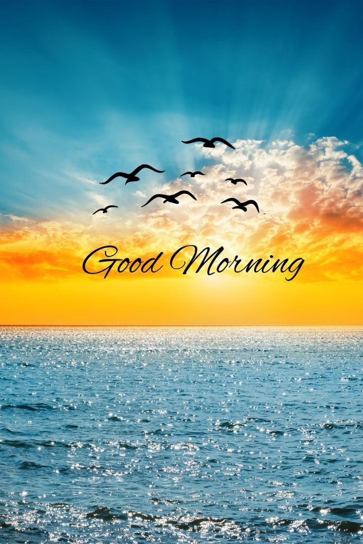 “Smile in the mirror. Do that every morning, and you'll start to see a big difference in your life.” 

Good Morning To All X Friends 🌺❤️