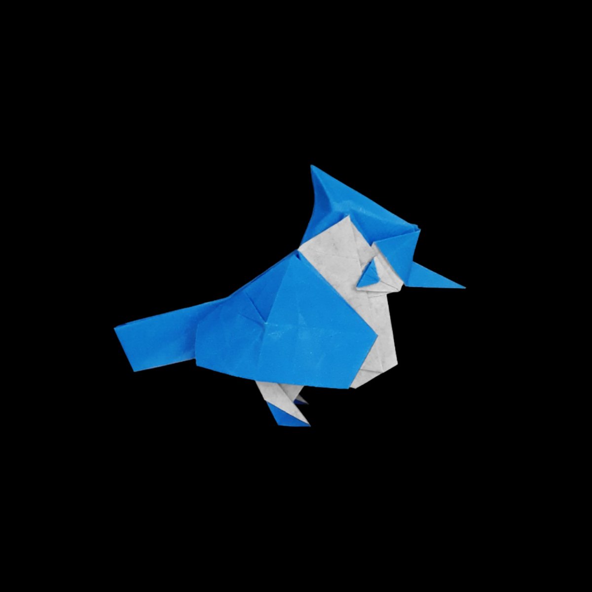 🐦🐦🐦🐦 
Blue jay by Syn

#折り紙 #origami