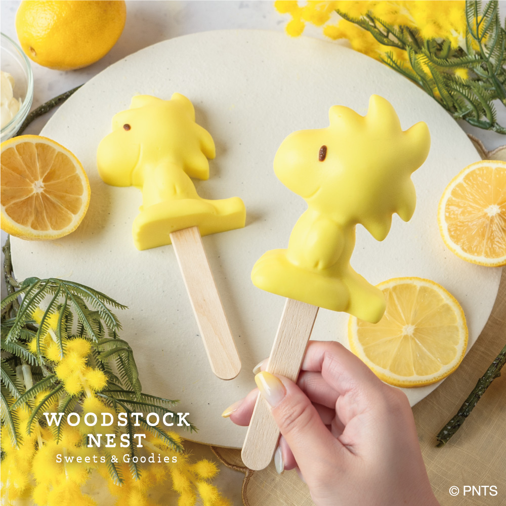 4/24全店発売】レアチーズケーキ 食べ歩きにもぴったりな、ハッピーな