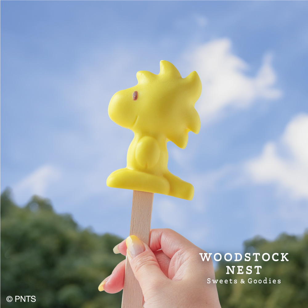 4/24全店発売】レアチーズケーキ 食べ歩きにもぴったりな、ハッピーな