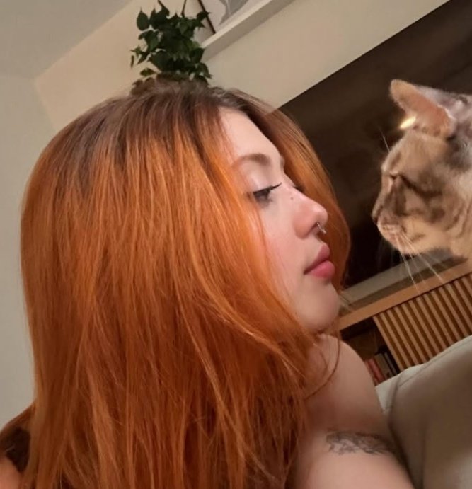 não sei nem de onde veio só sei que invadiu minha casa e às vezes volta pra visitar