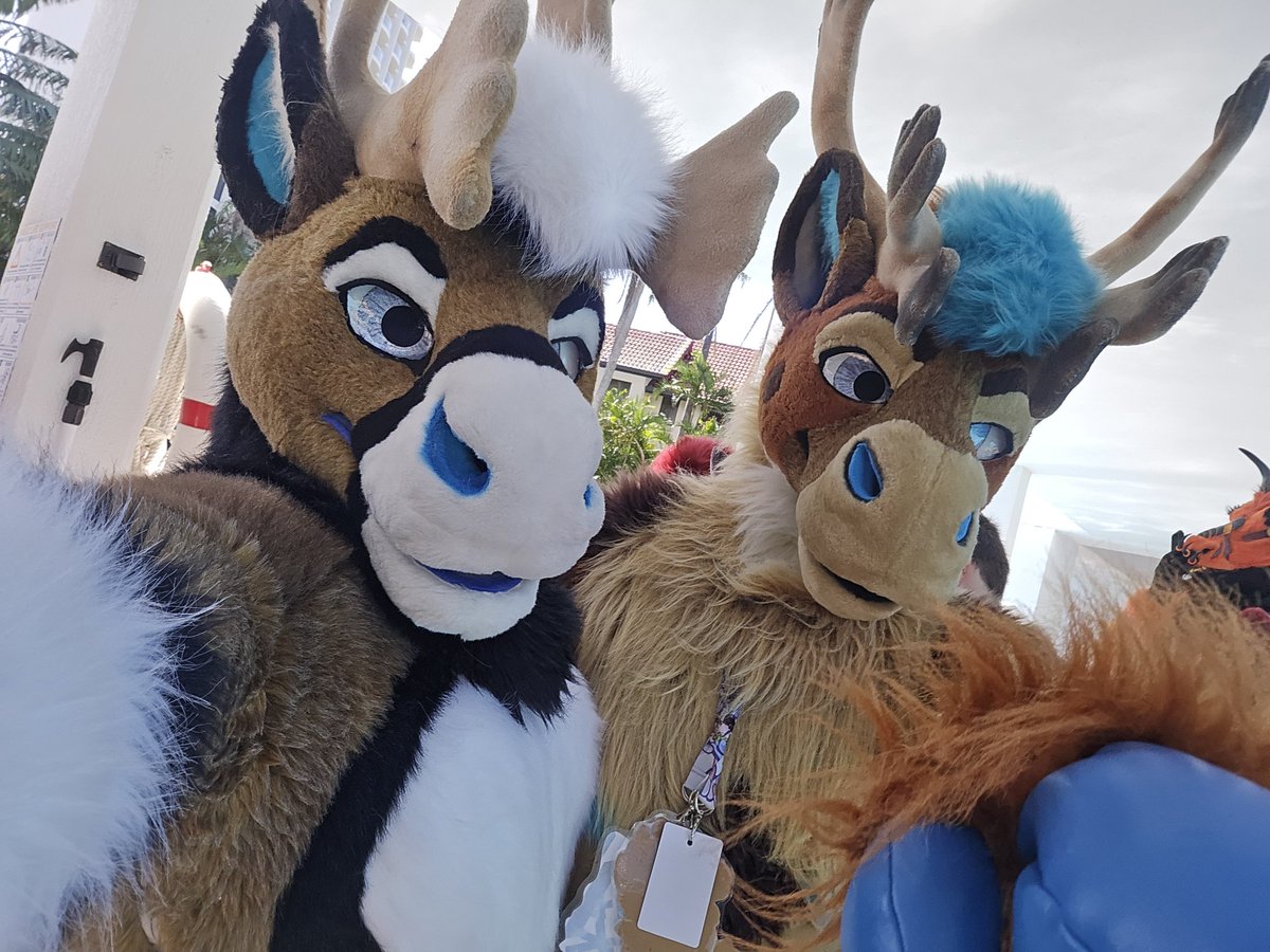 RadicalBou's tweet image. I was at FurDU!