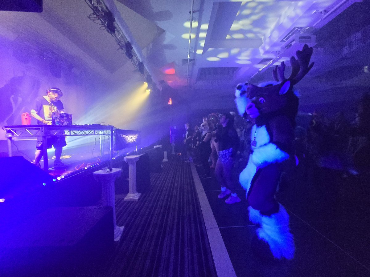 RadicalBou's tweet image. I was at FurDU!