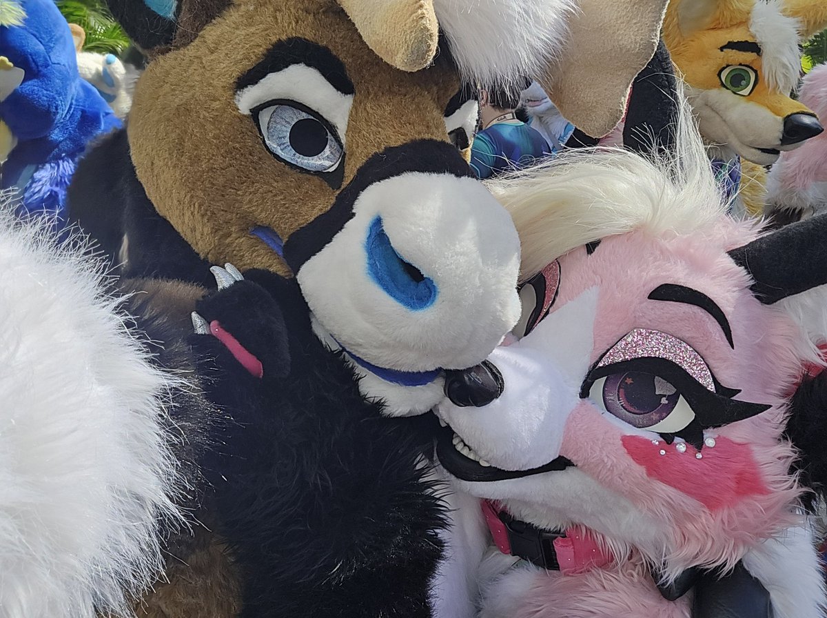RadicalBou's tweet image. I was at FurDU!