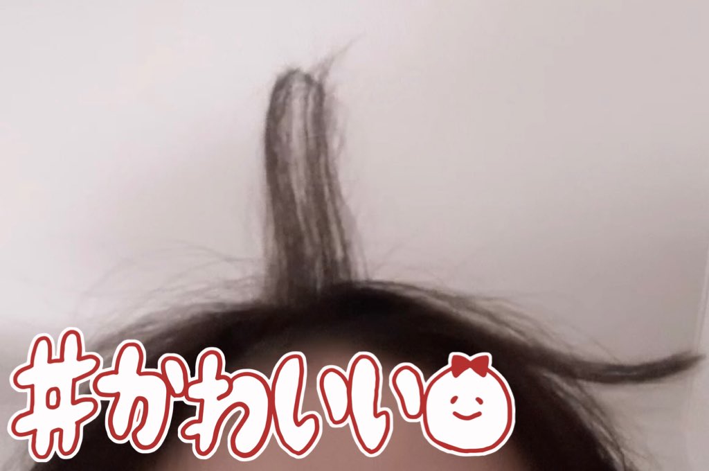 小熊まむ【iLiFE!】 (@iLiFE_koguma) / Posts / X