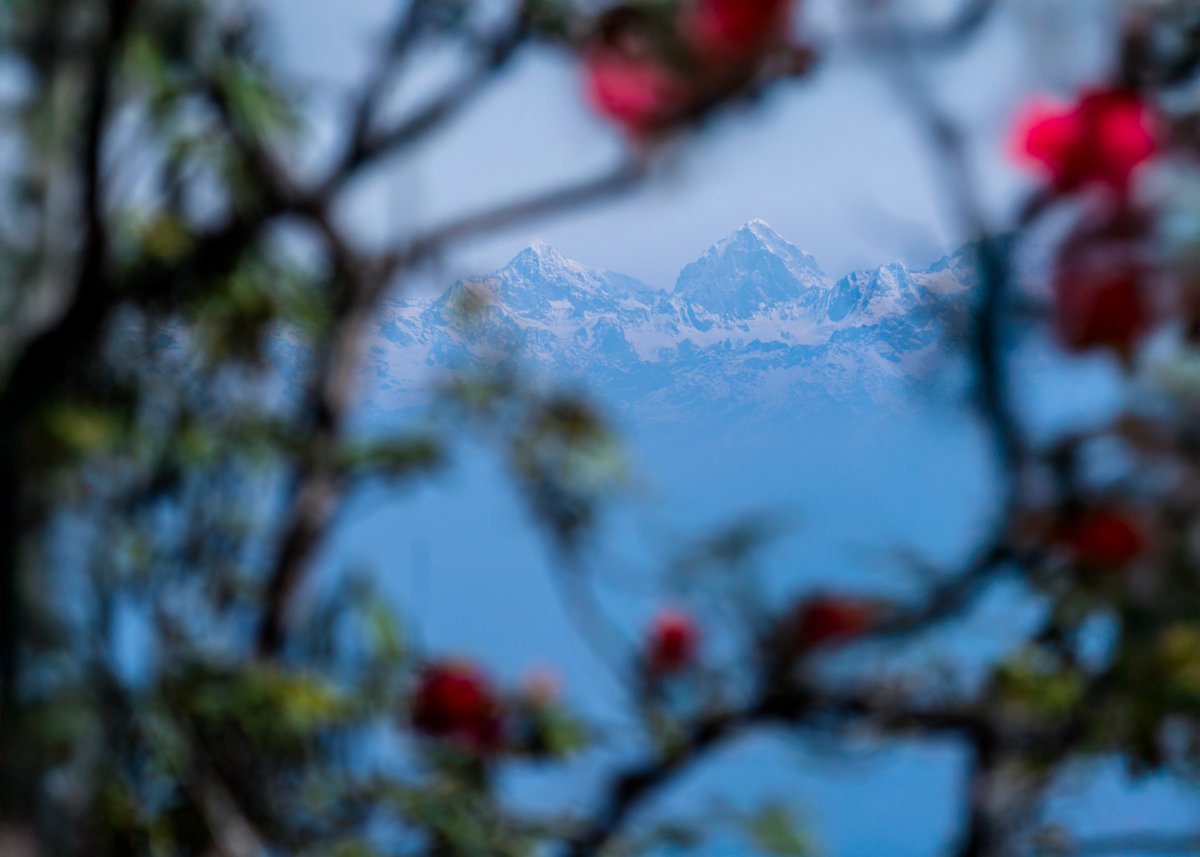 ViewFromShikhar's tweet image. Share a recent photo you love - any photo, any theme.

If you don’t… well, legend says 10 years of bad luck awaits. 😂 (Okay, not really… but don’t be boring!)