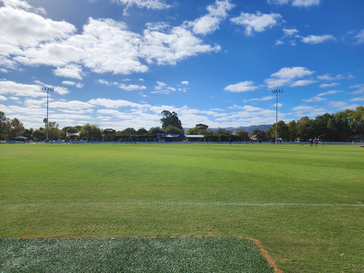 Matt J. Smith tweet media