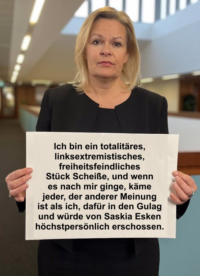 DieStahlfeder tweet media