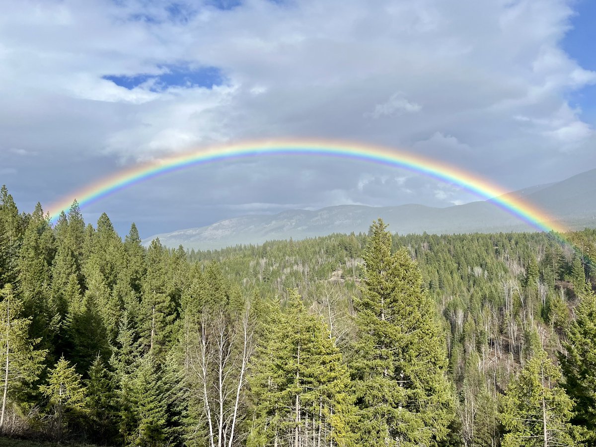 That’s the post…..🇺🇸