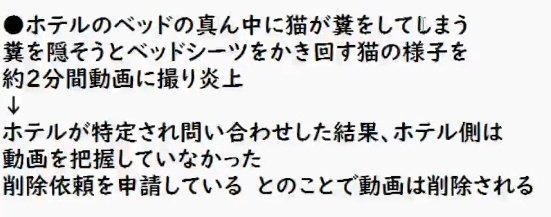 下僕しゃんはもちまる達を愛してりゅ！とかほざくカス信者共は今まで下僕がどれだけ炎上してきたか1週間位勉強した方がええよ文字難しいかもやけど
保護猫活動もなんで下僕が手出したかって「金になるから」
腎臓も心臓も悪いもちまるを雪の上に放り出す奴が愛情あるわけ無いやろボケ
#もちまる日記
