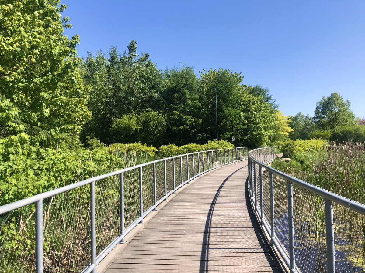 Corktown Common tweet media