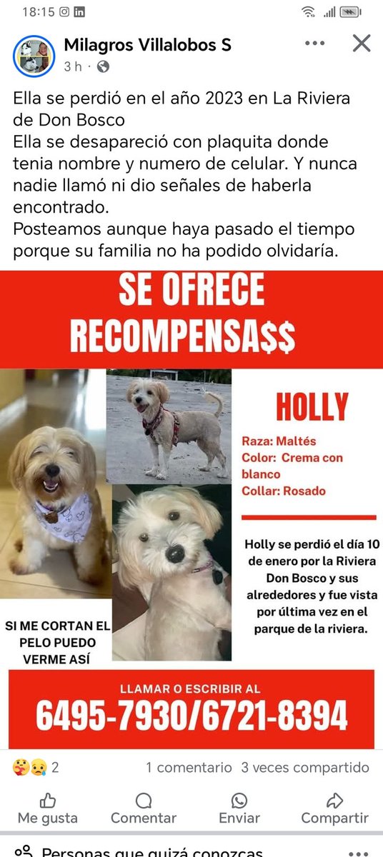 <a href="/sarat1165/">Sara Rugliancich</a> <a href="/SeferinaMelgar/">Seferina Melgar</a> <a href="/edithfirst22/">Mélida 🌺🐾💐</a> <a href="/dayra_icaza/">dayra icaza</a> <a href="/fundasispma/">Fundación San Francisco de Asís ( FUNDASIS )</a> <a href="/heramito/">Yira Lopez De Leon</a> <a href="/ivetteodalys/">Ivette Berrio</a> <a href="/LP19732/">LP1973</a> <a href="/PatasyPies/">Patas y Pies</a> <a href="/PatasPanama/">Patas Panama</a> <a href="/corazonconhuell/">Corazon Con Huellas</a> <a href="/mascotaspanama/">mascotas panama</a>