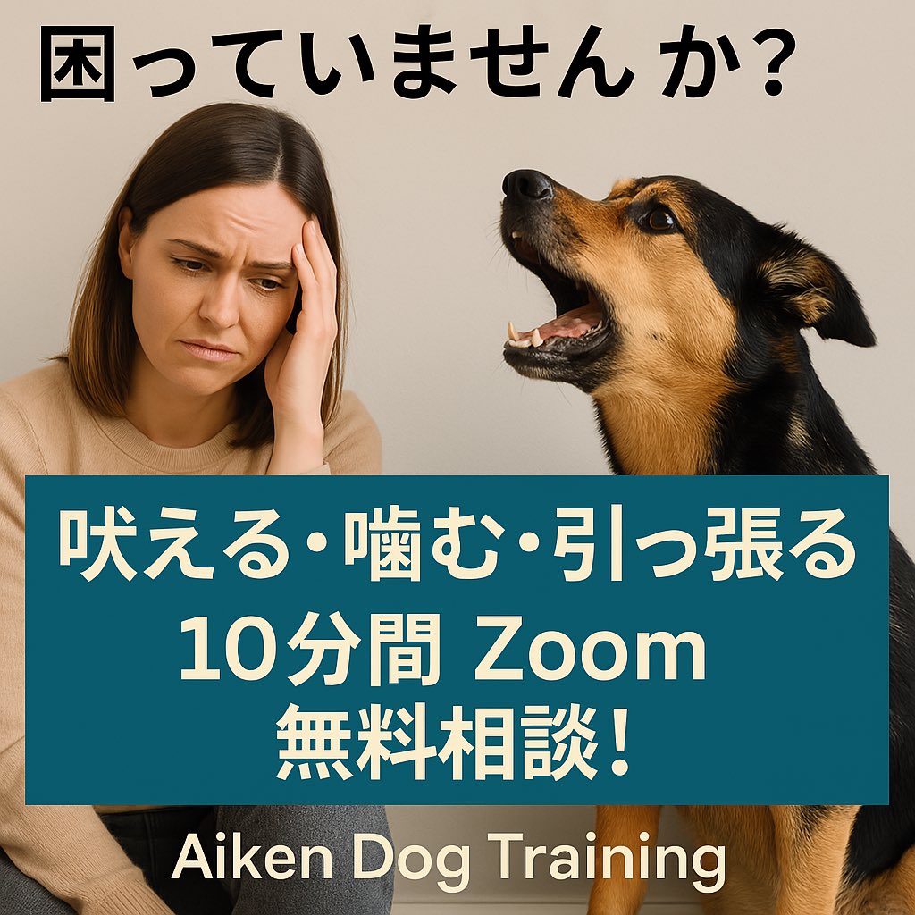 samuraidogtrain's tweet photo. Contact :
  E-Mail : julie@aikendogtraining.com 
Call or Text : 949-371-3912 https://t.co/5W15DQWt0u