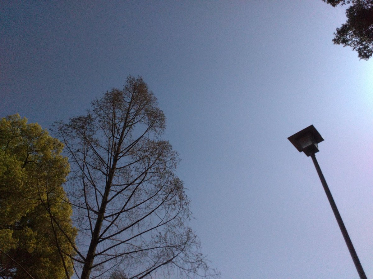 LSS85174130's tweet photo. おはようございます。

今朝の空模様は晴れ☀
日影に入ると少し肌寒いです。

#今日は何の日 
#灌仏会・花祭り

本日も体調管理と感染症対策に
気を付けてお過ごし下さい。

#名古屋市中区 
#大須 
#イマソラ https://t.co/4IaQU8Cc3J