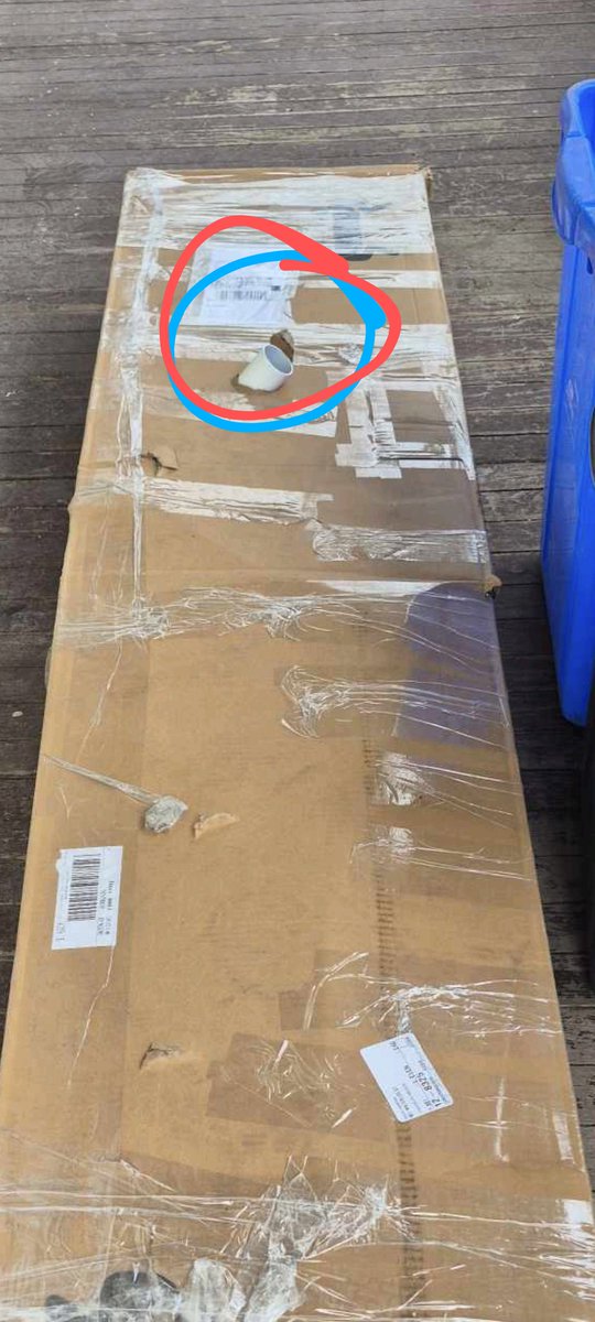 Rachel Fee tweet media