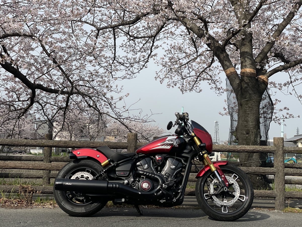 かんちゃん (@randoseru_kan) / Posts / X