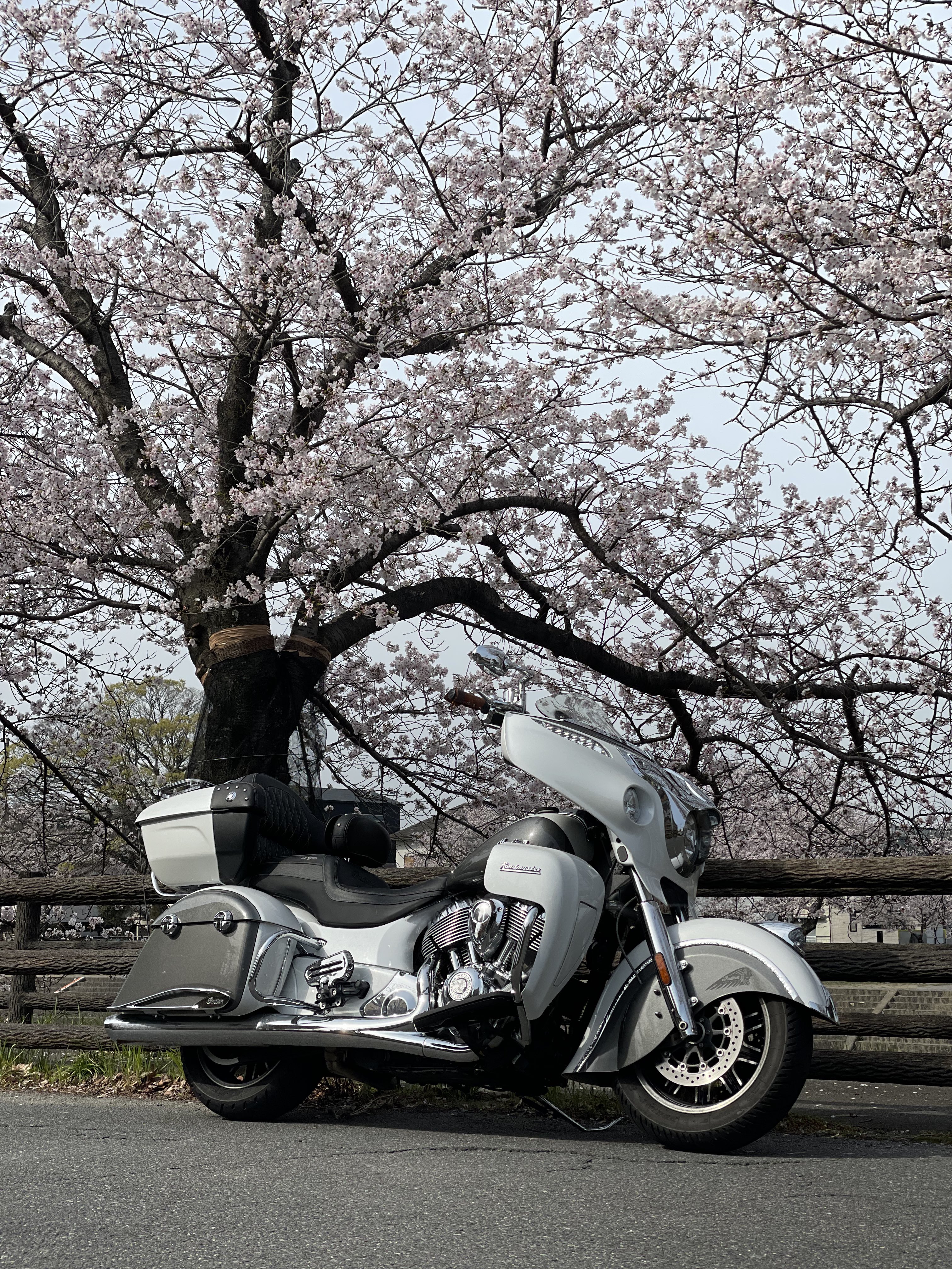 プリチャン ＊SR Amazon.com: WANATOP Fuel Pressure Regulator Valve 0928400632