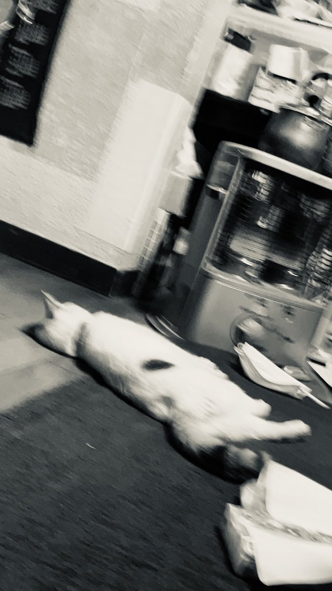 …ヤム、ニャ。