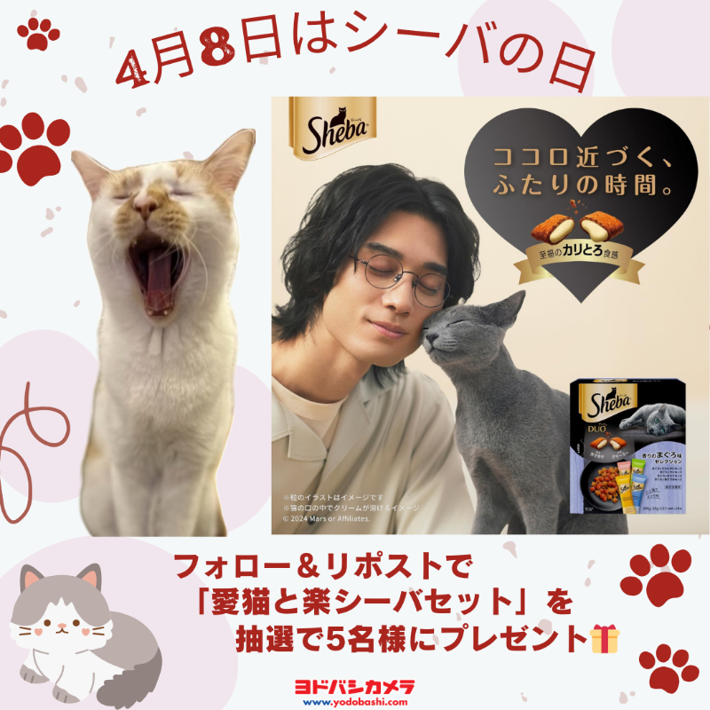 Yodobashi_X's tweet photo. ＼#ヨドバシーバも遂に3年目🐱／

4月8日は #シーバの日🐱
今なら、シーバ製品がお買い得‼️

➡️https://t.co/sDBDbBPS6F

「愛猫と楽（たの）シーバセット」を
抽選で5名様にプレゼント❗️🎁

■応募方法
👉フォロー＆リポスト
🐱「#ヨドバシーバ」を付けて、
可愛いお友達を紹介してね🐱

4/14まで❗️