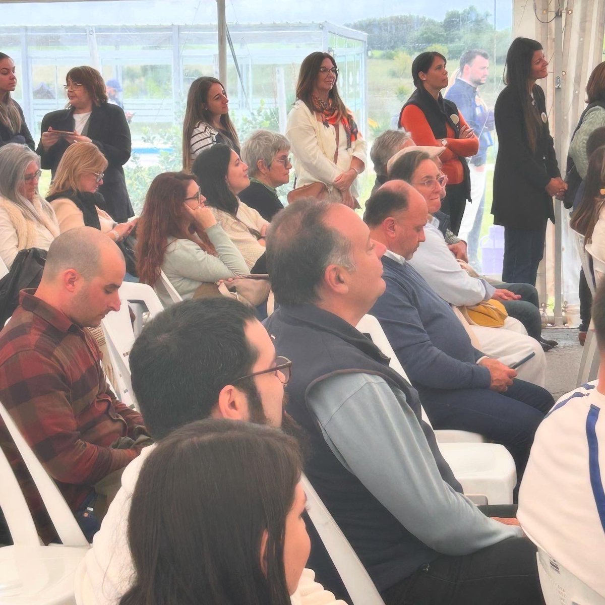 @bureaupunta tweet media