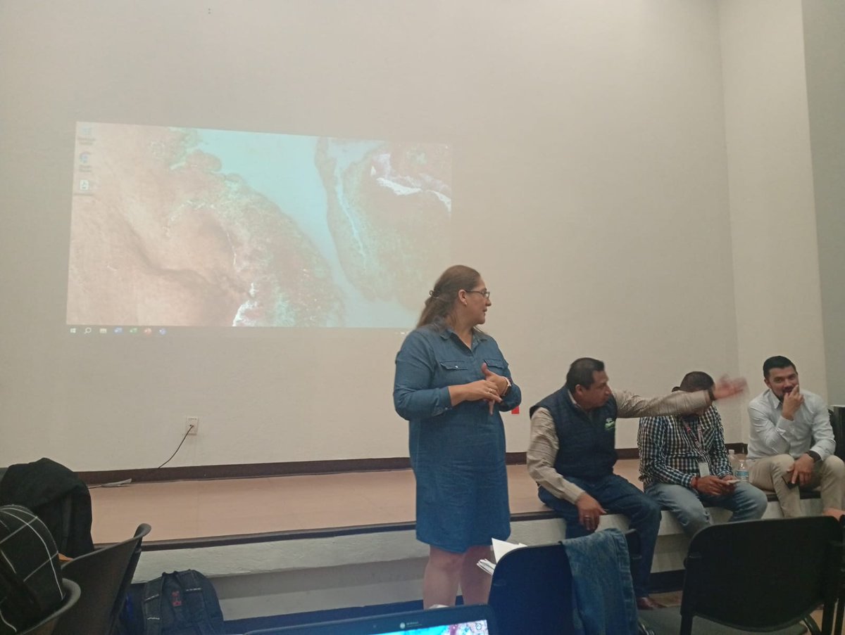 Verónica Ramírez tweet media