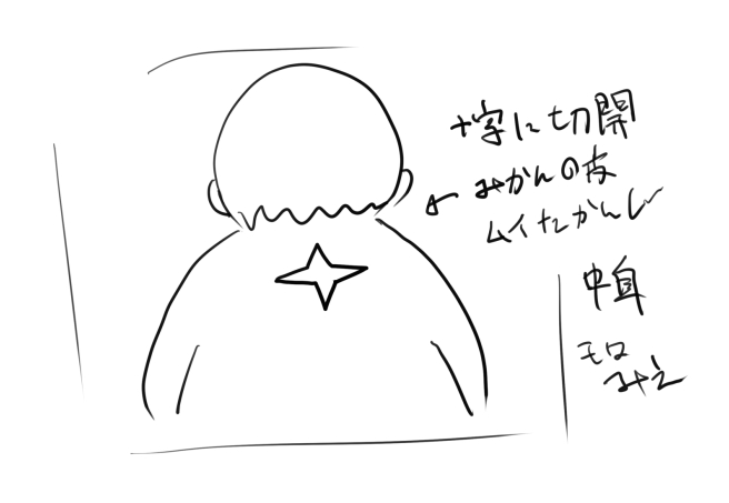 現在、首の後ろに十字に切開した状態
背中に十字の傷がある
なんかカッコイイだろ?

中身は、霜降りのお肉が見えるよ(*ノωノ) 