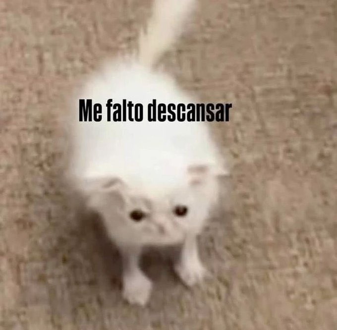 estoy  traumada con anatomía