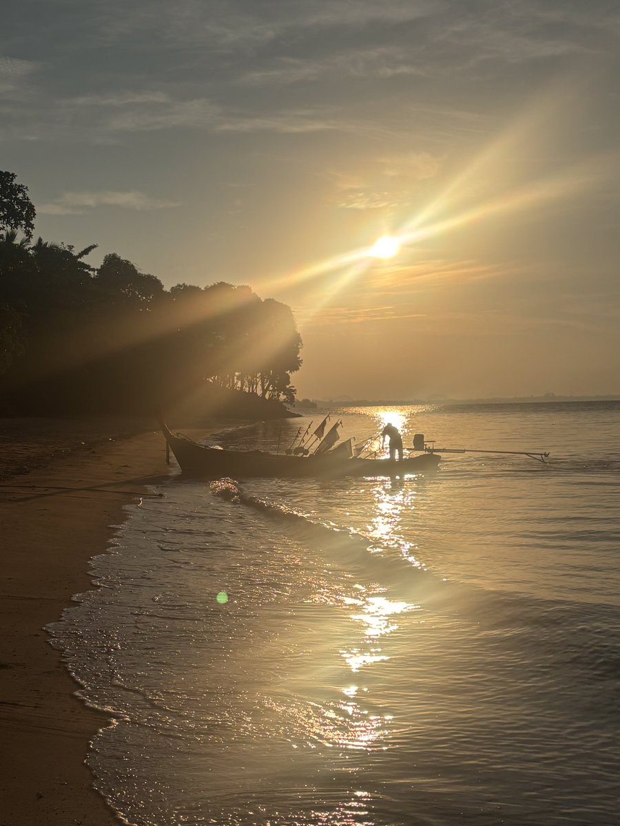 Tom Wallace tweet media