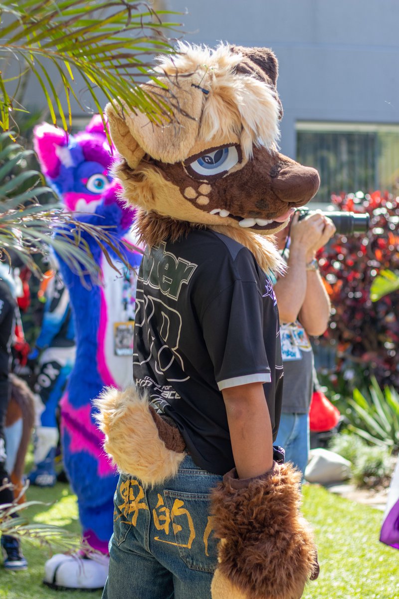 Zios_Wolf's tweet photo. Have finished doing edits and have uploaded all photos (compressed) to a new telegram group here: https://t.co/UAHLmw72ky

Hope everyone had a lovely FurDU this year!
#FurDU2025 https://t.co/upBmjva19e