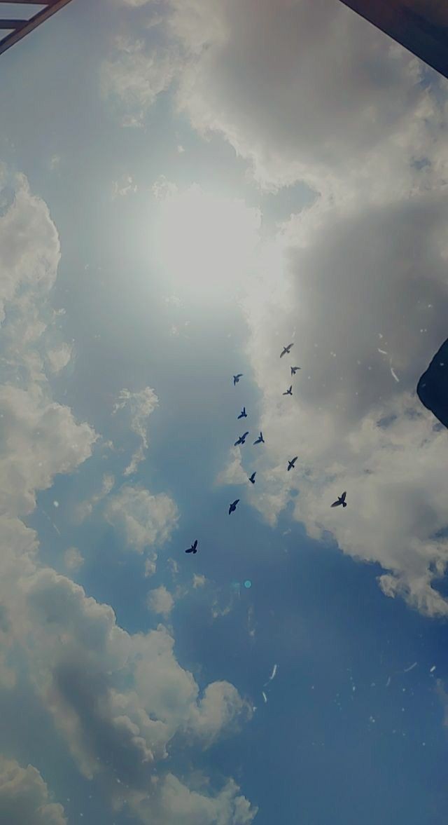Shoonya_ydv's tweet photo. हर एक रात कहीं दूर भाग जाता हूँ
हर एक सुब्ह कोई मुझ को खींच लाता है

- ग़ज़नफर 

PC_ @_poetwish https://t.co/qVBQ9YiSm1