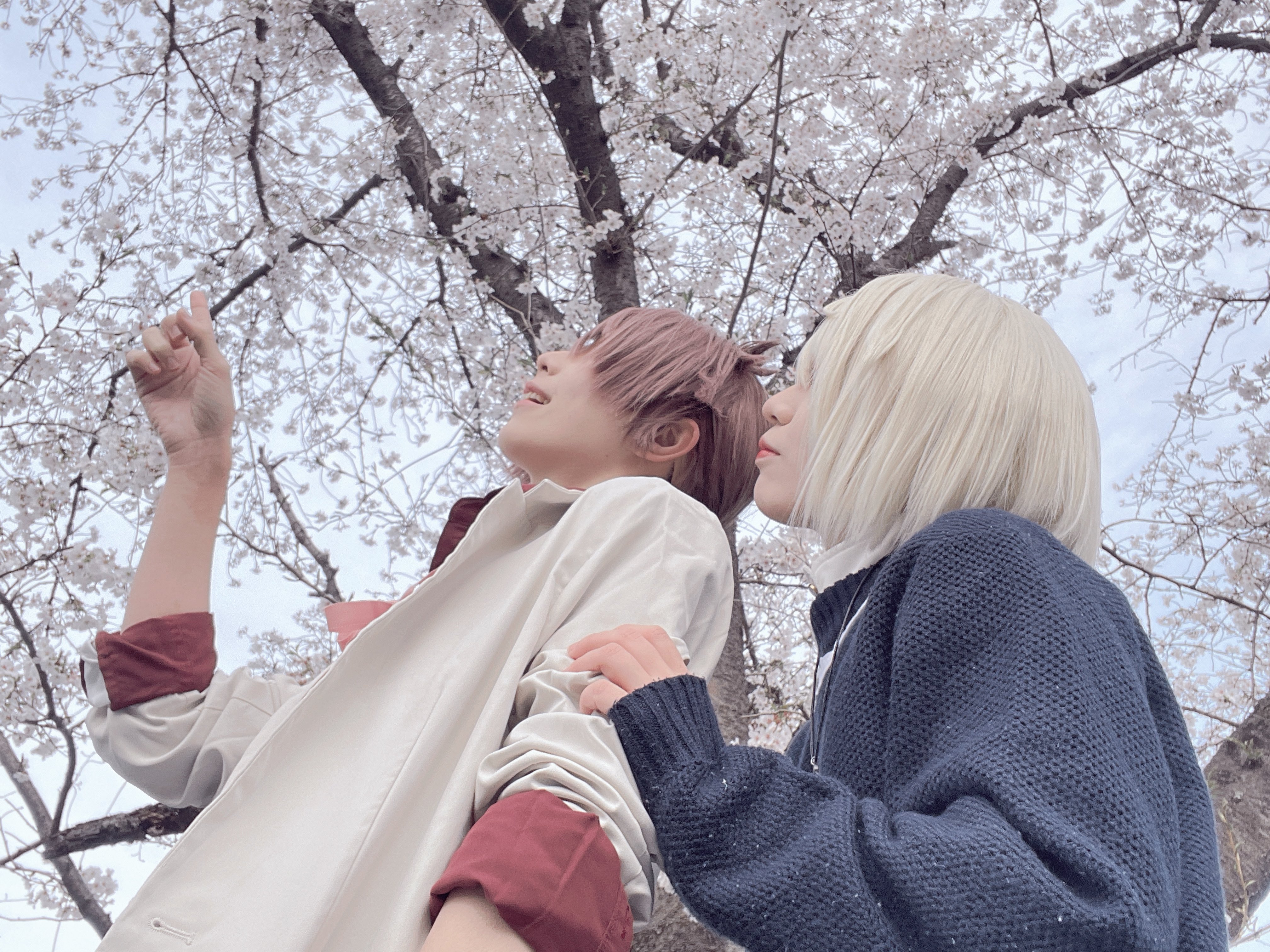 千叶❀.*゚ (@Yuki_to0630cos) / X 千叶❀.*゚ (@Yuki_to0630cos) / X